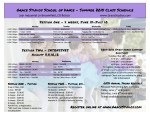 GSSD Summer 2015schedule